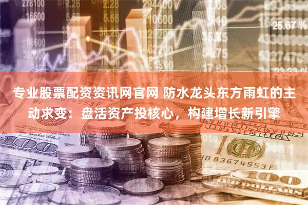 专业股票配资资讯网官网 防水龙头东方雨虹的主动求变：盘活资产投核心，构建增长新引擎