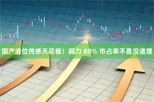 国产液位传感天花板！犸力 80% 市占率不是没道理