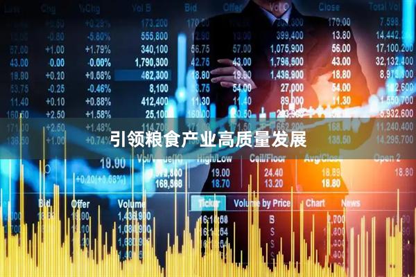 引领粮食产业高质量发展