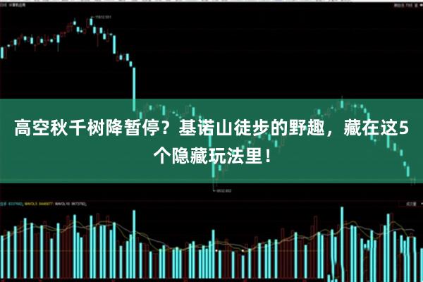 高空秋千树降暂停？基诺山徒步的野趣，藏在这5个隐藏玩法里！