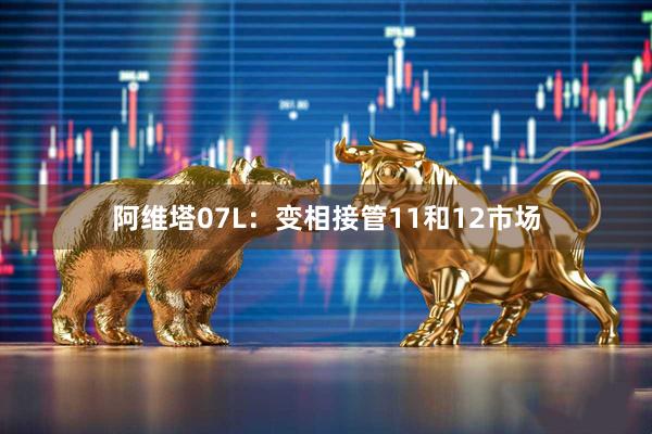 阿维塔07L：变相接管11和12市场