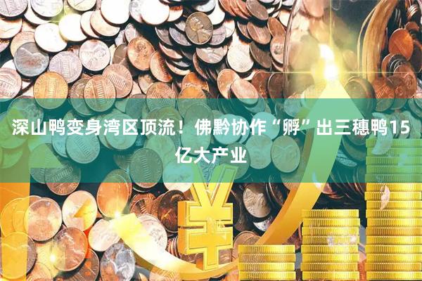 深山鸭变身湾区顶流！佛黔协作“孵”出三穗鸭15亿大产业