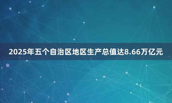 2025年五个自治区地区生产总值达8.66万亿元